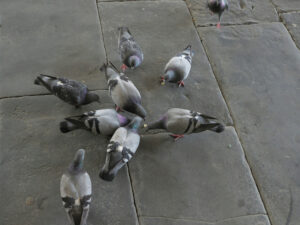 Maratona Fotografica di Bergamo 2023 - Foto in gara - Tema CAOS