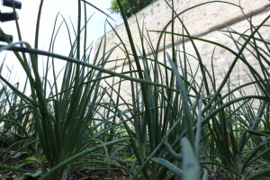 Maratona Fotografica di Bergamo 2023 - Foto in gara - Tema CAOS