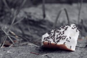 Maratona Fotografica di Bergamo 2023 - Foto in gara - Tema CAOS