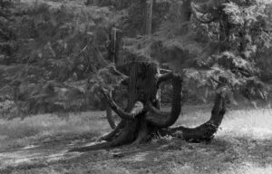 Maratona Fotografica di Bergamo 2023 - Foto in gara - Tema CAOS